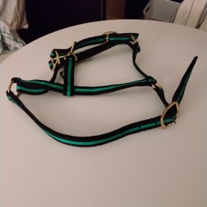 Halter and Lunge Line