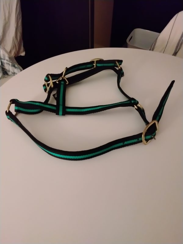 Halter and Lunge Line