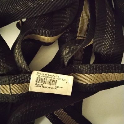 Halter and Lunge Line